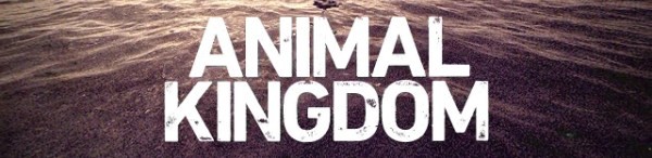 Animal Kingdom season 2 start date