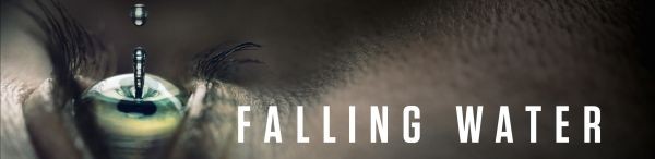 falling water season 2 release date