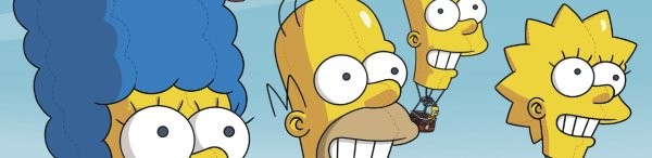 the simpsons season 29 release date